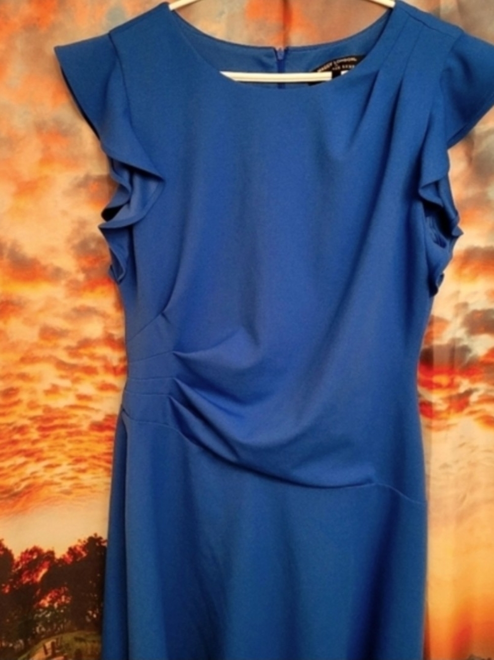 Maggy London Cobalt Blue Ruffle-Sleeve Midi Dress